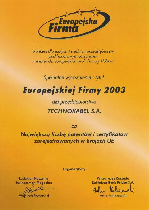 europejska firma